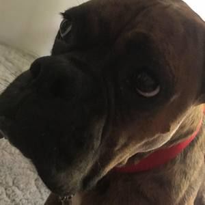 Meet your Posher, Hunter